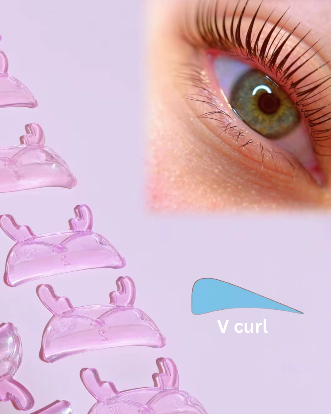 Reindeer Jelly Shields