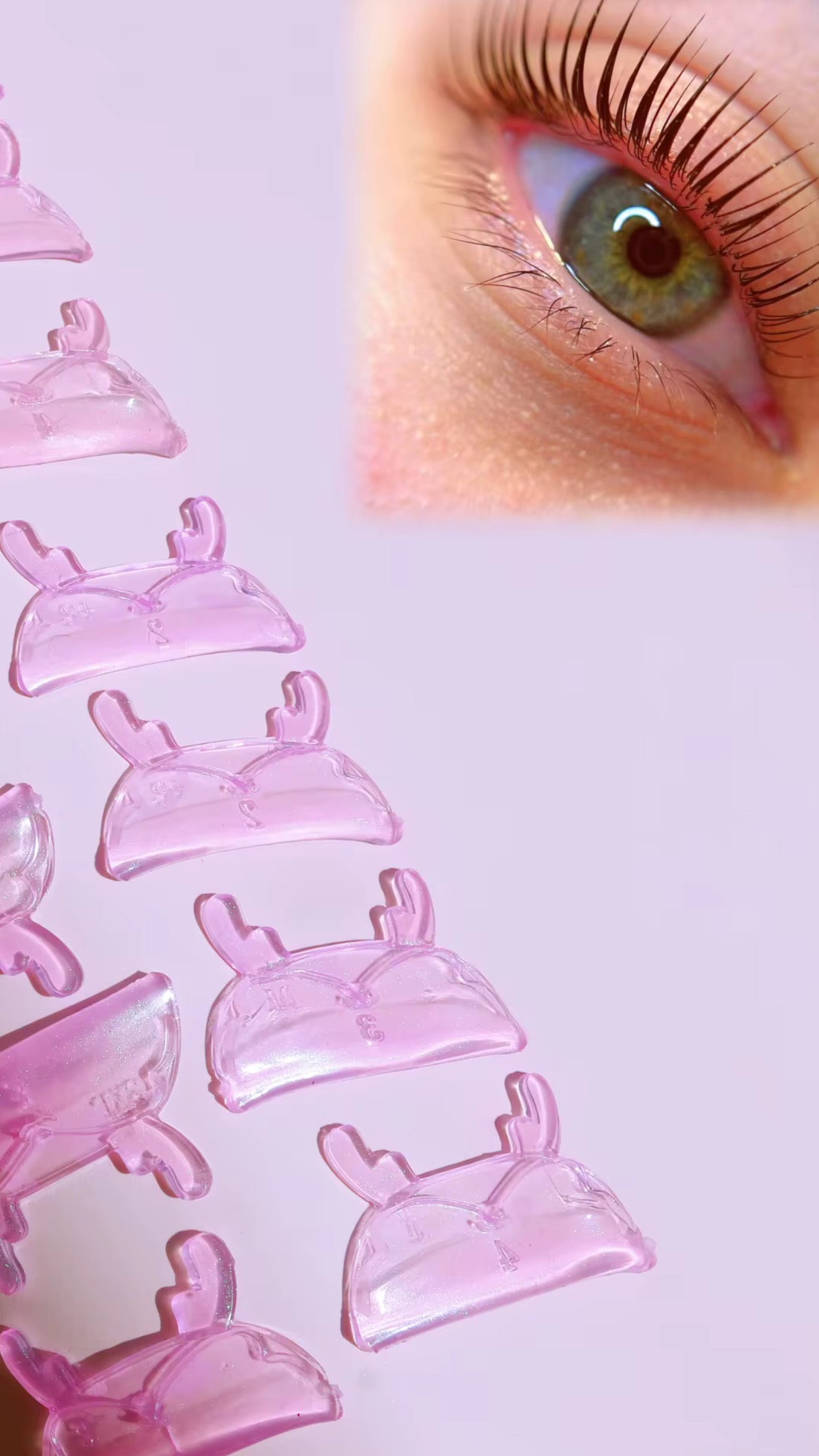 Reindeer Jelly Shields